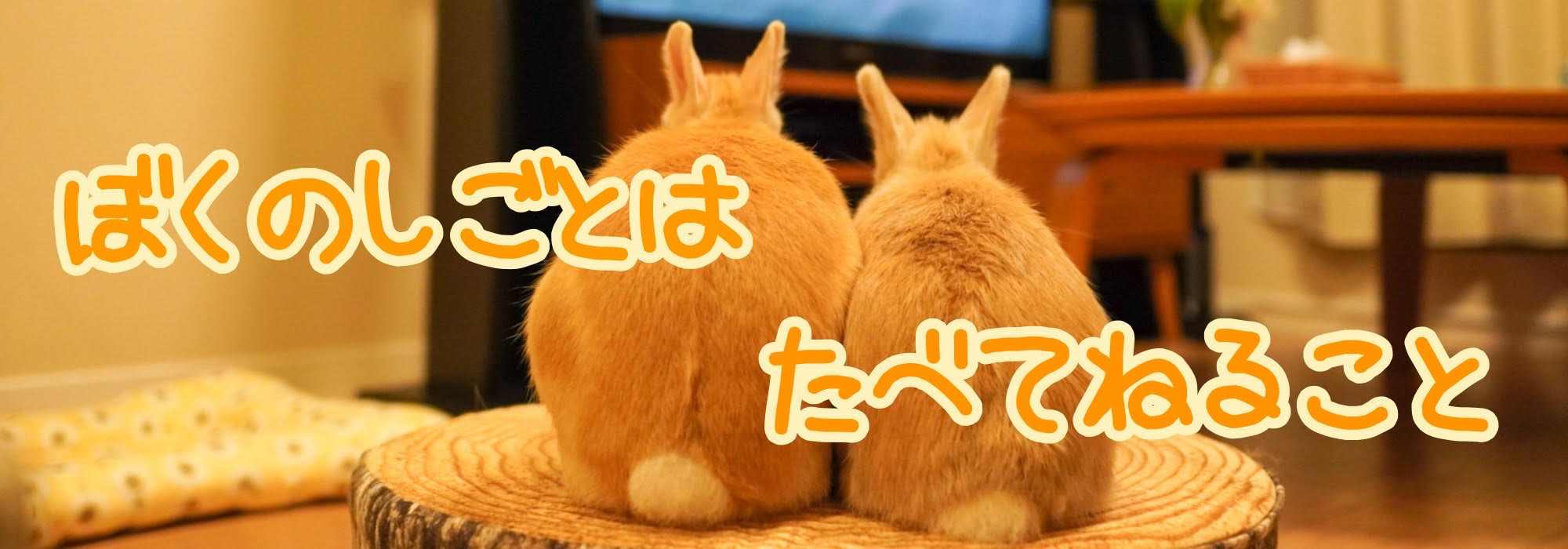 ぼくのしごとは たべてねること